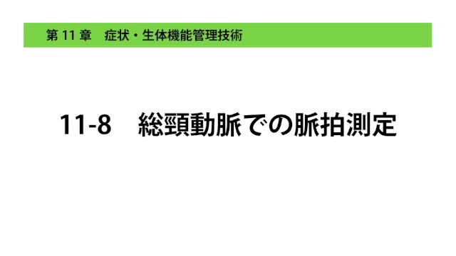 11-8総頸動脈での脈拍測定.